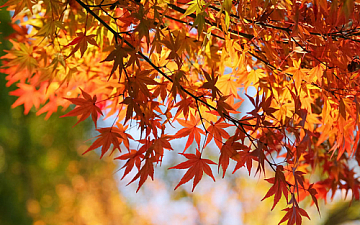 伊丹 美容室【キールーム】 9月に心がけるヘアケア習慣